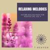 A Luxury Delight (Original Mix) - Balanced Life