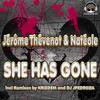 She Has Gone (Krizdem Edm Edit) - Jerome Thevenot&Natéole