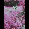 See You Later (Explicit) - Runnny