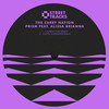 Prism (feat. Alissa Brianna) (Lauren Flax Remix) - Alissa Brianna&Lauren Flax&The Carry Nation&Brianna Todd