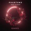 Want To Know (QRTR Remix) - Phantoms&QRTR