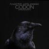 Codon (Dipped In Ecstasy) (4hero Remix) - Flaunt&Justin Jennings