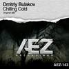 Chilling Cold (Original Mix) - Dmitriy Bulakov