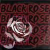 Black Rose (Explicit) - Dxggxrr