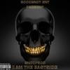 Wilding(feat. Lil mikey) (Explicit) - Snoop300&Lil Mikey