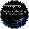 If You Only(Original) - Sebastian Gudding