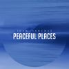 Peaceful Places - Juan Sanchez