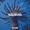 Maldives (Original Mix) - Asketa & Natan Chaim&XYPO