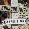 Wanting You (Classic House Mix) - Schwarz&Storm Marrero&Funk