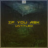 Untitled (Original Mix) - If You Ask