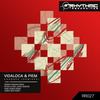 Changes (Kevin G & Mr. Lekka Rework) - Vidaloca&Piem