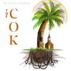 Never Know (Explicit) - Bishop Khale