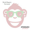 Midnight Groove (Original Mix) - David Square