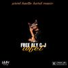 Aly cj wfet (Explicit) - Hustle Hard Music