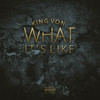 What It's Like (Explicit) - King Von