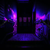 DWY - ZEFEAR&Teya Flow