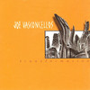 Una Fiebre - Joe Vasconcellos