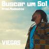 Buscar um Sol - Viegas