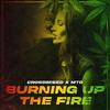 Burning Up The Fire(Amsterdam) - MTD&Crossbreed