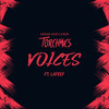 Voices - LATEEF&Torchmics