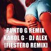 PUNTO G - Dj Alex