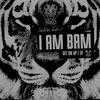 Can't U See (Original Mix) - I Am Bam