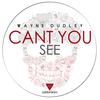 Can't You See (Club Mix) - Wayne Dudley