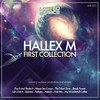 Pop It and Shake It (Hallex M & Tony Loreto Remix) - Peven Everett&Hallex M&Tony Loreto