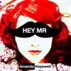 Hey Mr - Amanda Hopewell