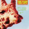 Hit Me Like You Did The First Time (Live Peel Session Version) - The Flaming Lips