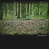 Snakes and Slik - Murena