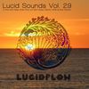 Lucid Sounds, Vol. Twenty Nine Deep Flow - Mrs. Robot