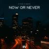 Now Or Never - 2 vive&MaD3&Kevin Gmeiner