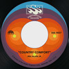 Country Comfort - Rex Allen, Jr.