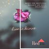 Super Electronica Funk (Original Mix) - Pop Rodentss