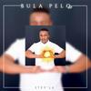 Bass Destroyer(feat. Vigro Deep) - Stev'La&Vigro Deep