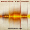 Why'd You Only Call Me When You're High? - Sublime Reggae Kings&Alex Turner