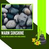 Sunny Mornings (Original Mix) - Daniel Markston