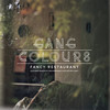 Fancy Restaurant (Ifan Dafydd Remix) - Gang Colours