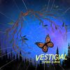 Vestigial(feat. Karan Khurana, JonHammond & Faris Khan) (Explicit) - Suhaas Kumar&Karan Khurana&JonHammond&Faris Khan