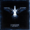 Stand Beside Me(Everyday) - Starseed