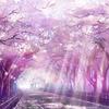 梦樱（原曲：さくらさくら ～ Japanize Dream...） - Audio Magician