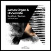 Spectrum (Original Mix) - James Organ&Understate