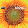 Body Building - Lemongrass