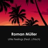 Little Feelings - Roman Müller&J.Frisch