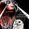 Insomnia/Hypersomnia - KÖYHÄ