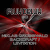 Levitation (Original Mix) - Niklas Grosswald