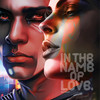 In the Name of Love - Karl Moestl