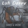 Snakes and Spiders (Explicit) - luh davey