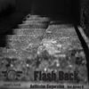 Flash Back (Jeremy G Remix) - Antiteston Corporation